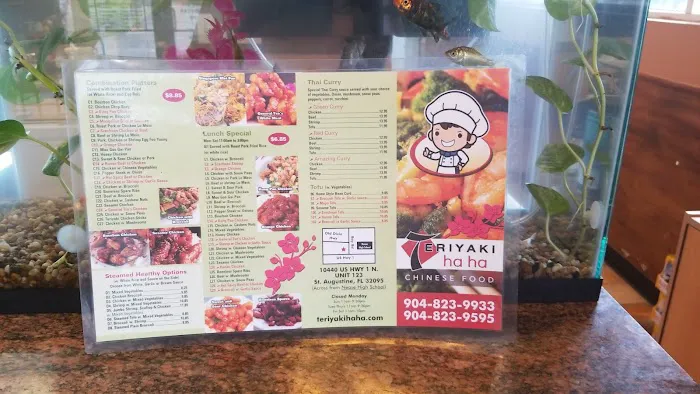 Teriyaki Ha Ha 6