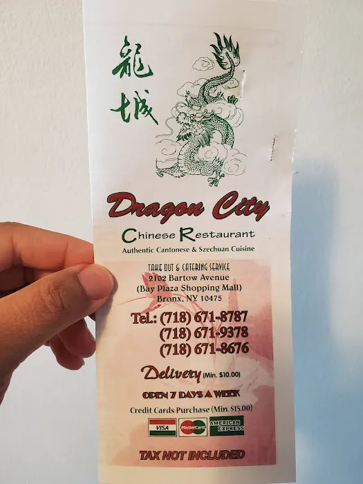 Dragon City 9