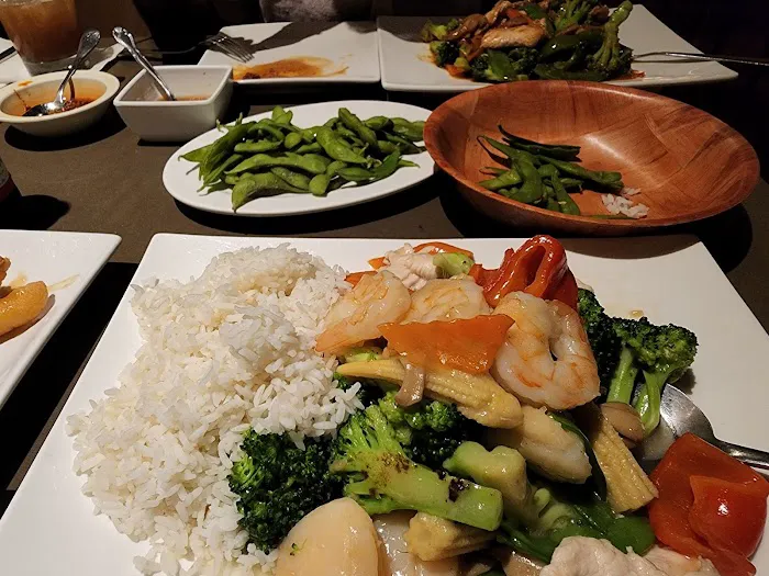 Hong Kong Dragon 5
