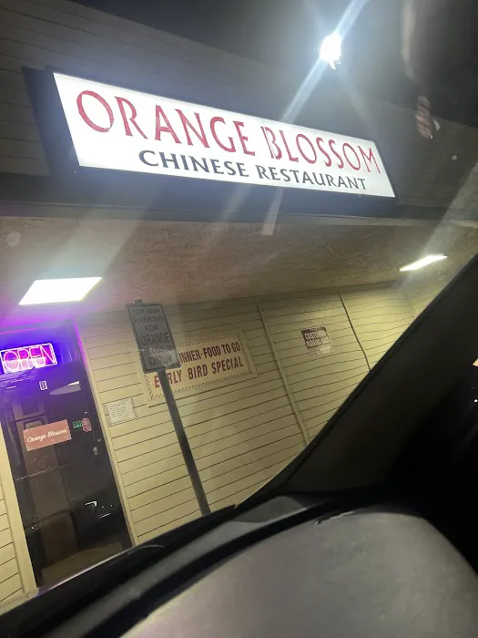 Orange Blossom Chinese Restaurant 2