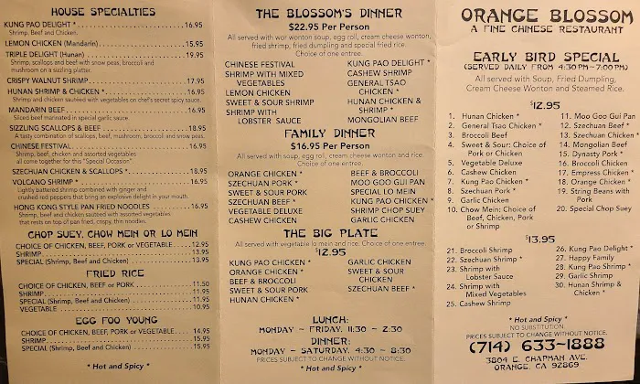 Orange Blossom Chinese Restaurant 7