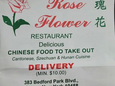 Rose Flower 0
