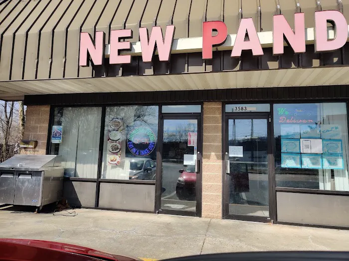 New Panda 1