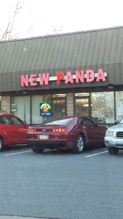 New Panda 7