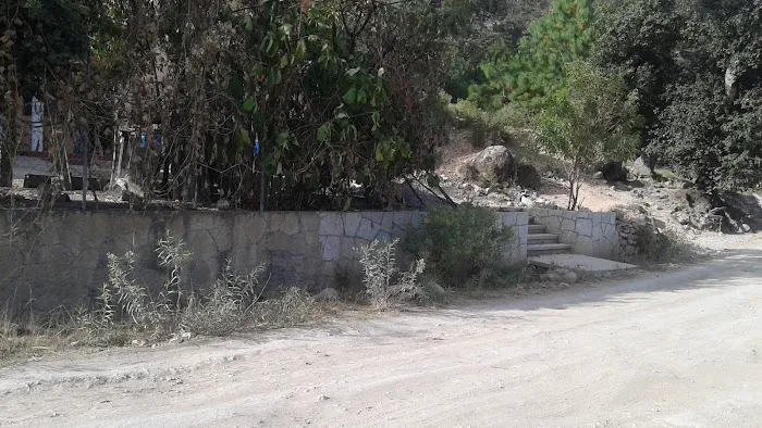 No. 1 6