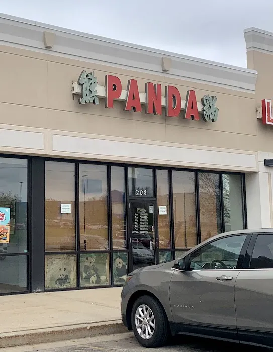 Chinese Panda 10