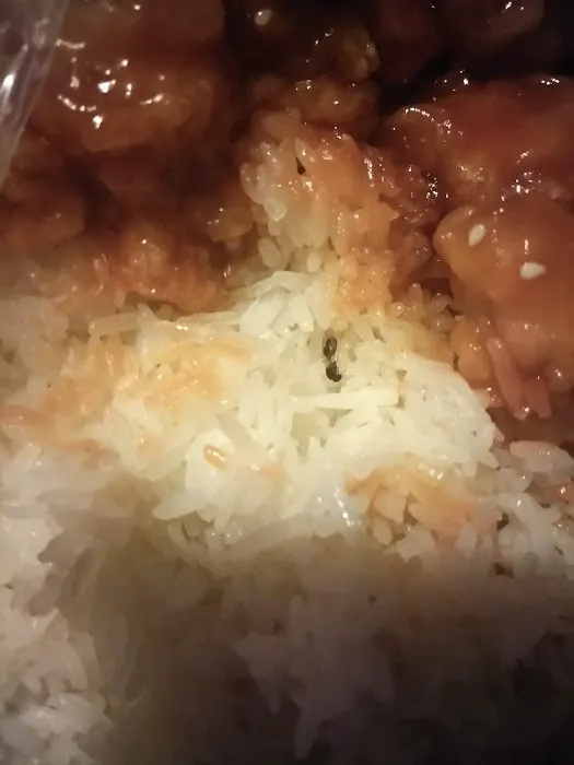 Won's Chinese Restaurant 3