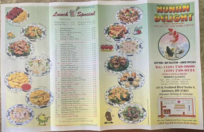 Hunan Delight 9