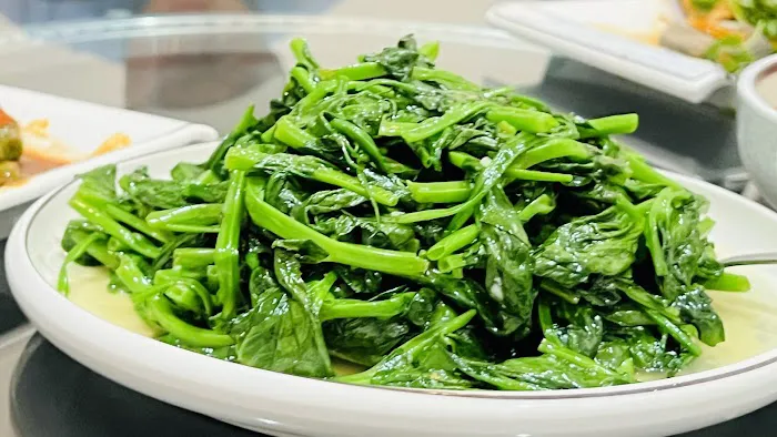 Kung Fu 12 Szechuan (Rockville) 功夫十二 4