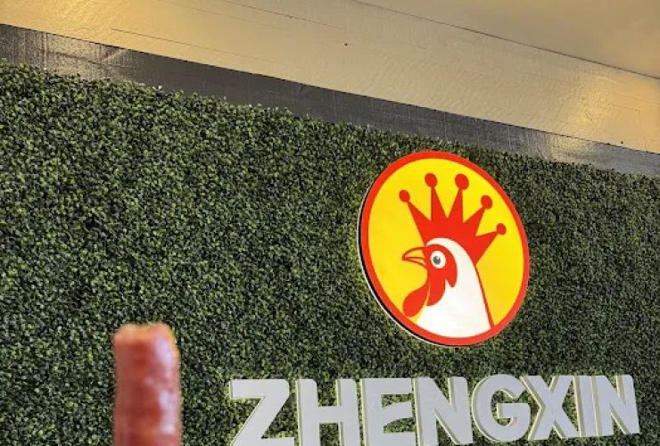 ZHENGXIN Chicken Steak 2