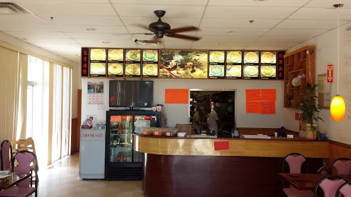 China Panda 8