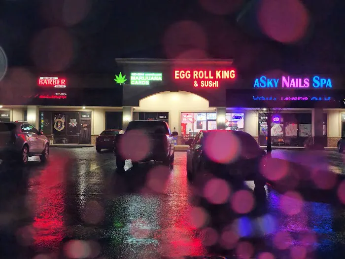 Egg Roll King & Sushi 6