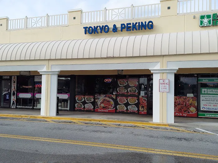 Tokyo Peking Express 9