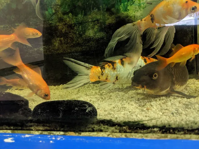 Golden Jade Chinese Restaurant 7