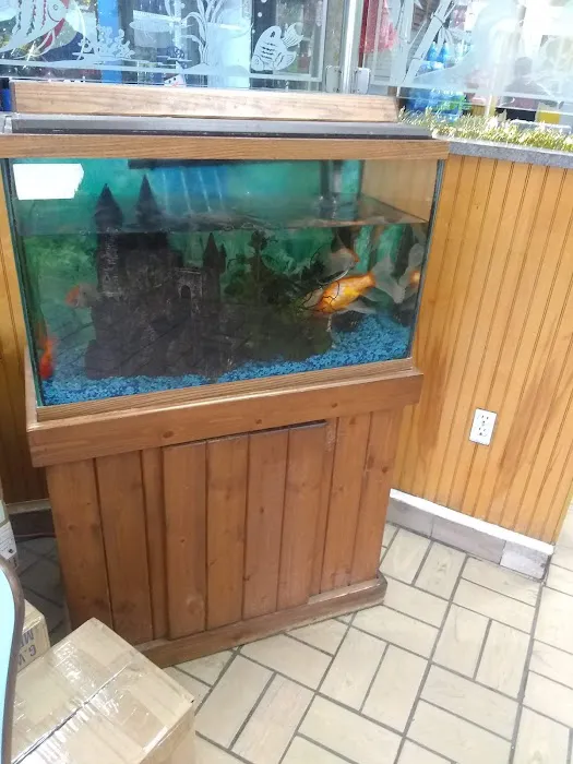 China Sea Chinese Restaurant 8
