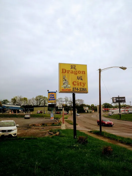 Dragon City 8