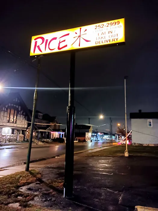 Rice 3