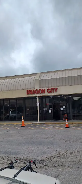 Dragon City 1