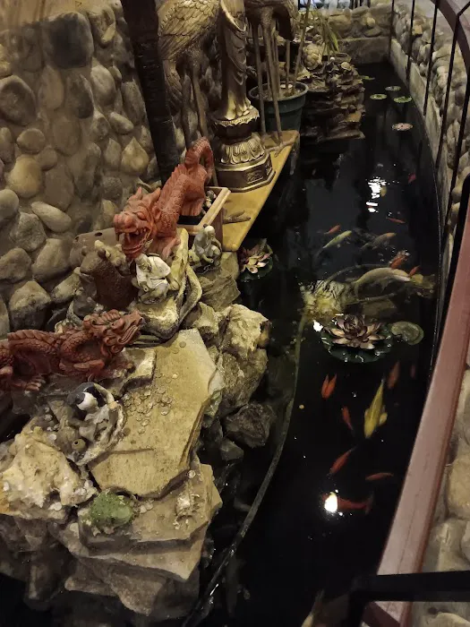 Golden Dragon Chinese & Japanese Restaurant 9