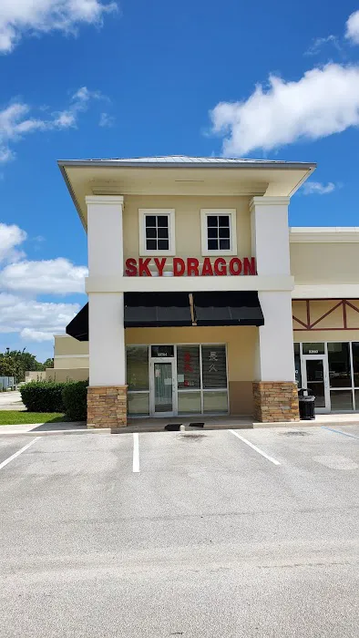 Sky Dragon Chinese Restaurant 6