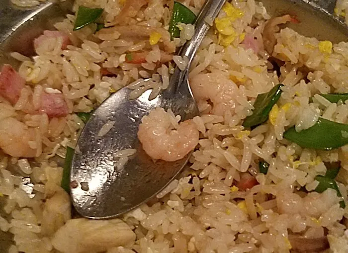 China Gourmet Restaurant 9