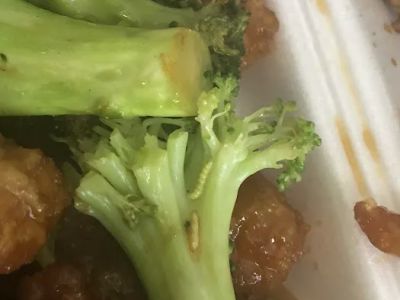 Golden Panda Kitchen 0