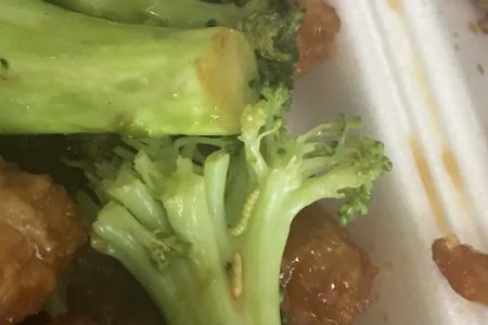 Golden Panda Kitchen