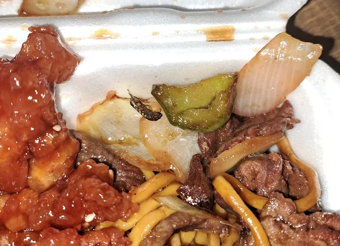 No 1 Chinese Restaurant 1
