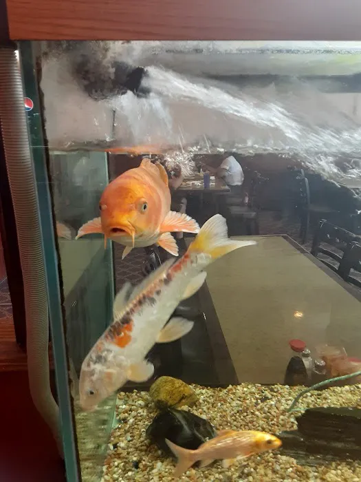 China Garden Buffet 5