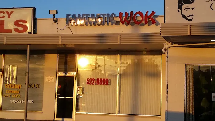 Fantastic Wok 1