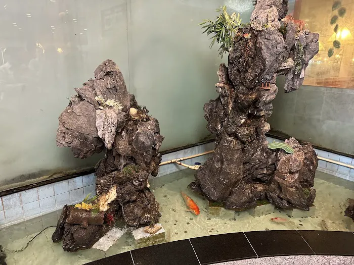 Twin Dragon Buffet & Grill 10