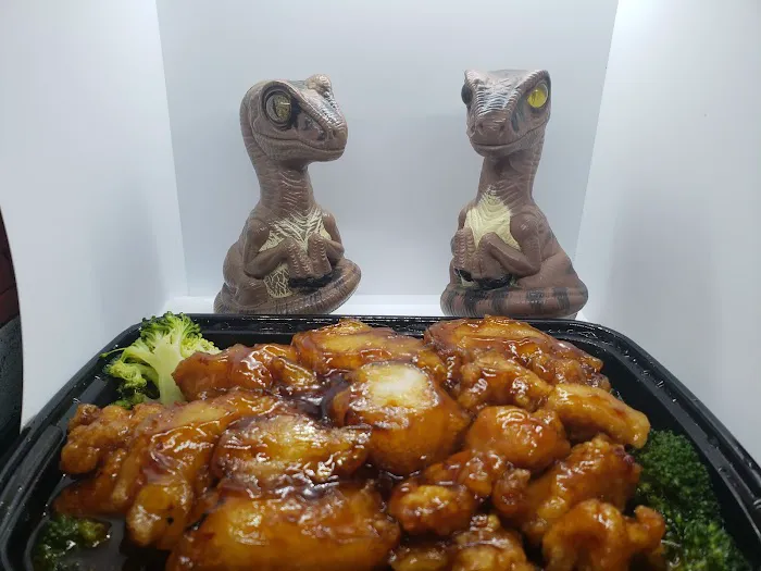 Panda Chinese food and grill 3