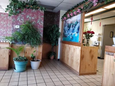 Stars Chinese Gourmet Restaurant 0