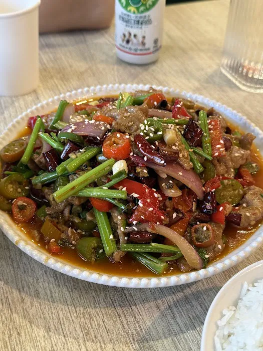 SPICY IMPRESSION 4