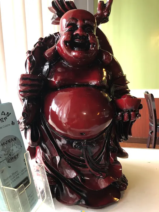 Hunan Chef 10