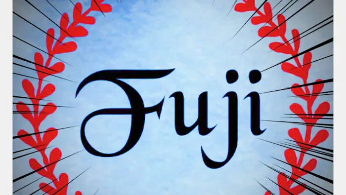 Fuji Asian food & Sushi Bar 7