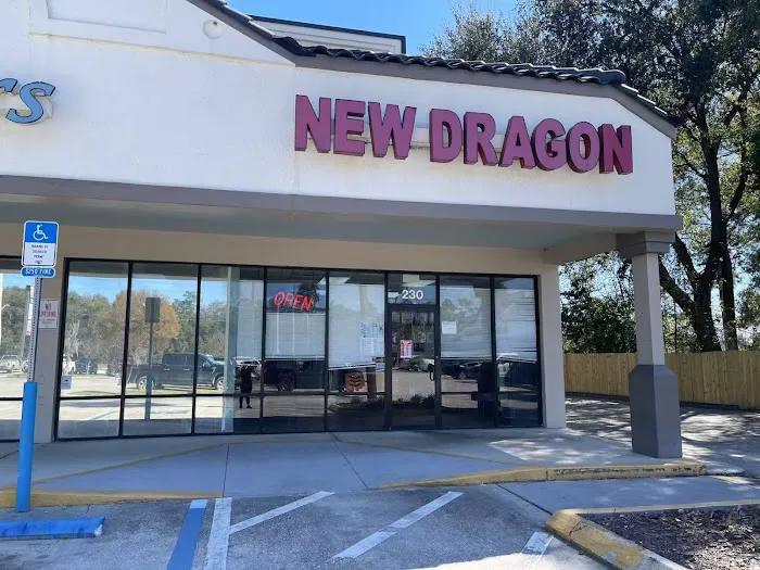 New Dragon 6