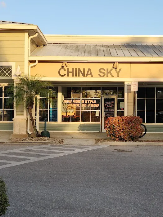 China Sky Inc 8