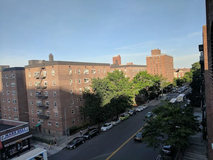 New Kissena 5