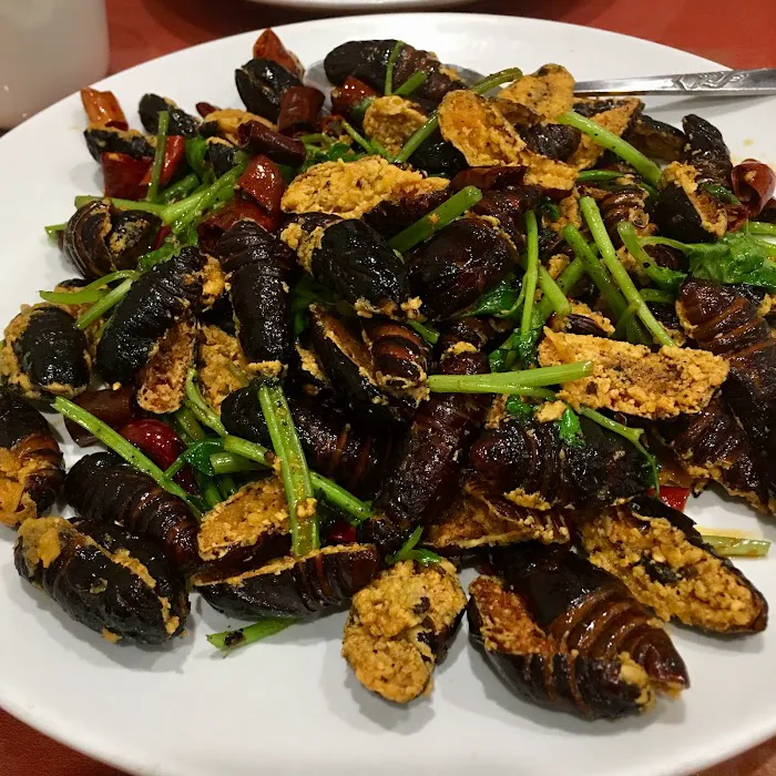Golden Palace Gourmet 10