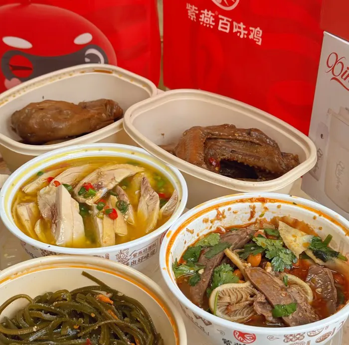 Ziyan Foods Flushing 紫燕百味鸡 7