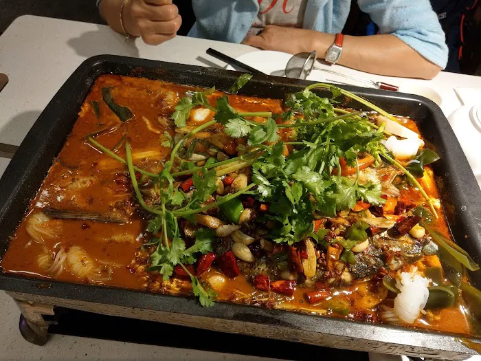 XinYang 3