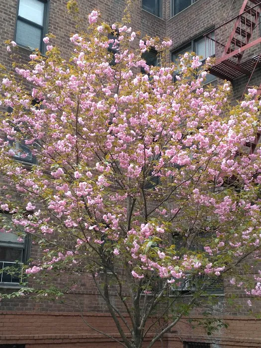 DouManJiang 10