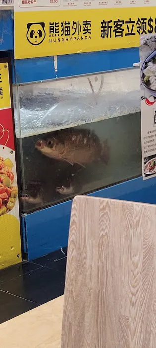 Flavors Fish 4
