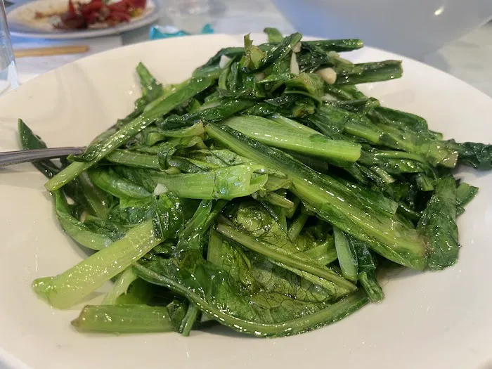 Hengzhou Chilli King 10
