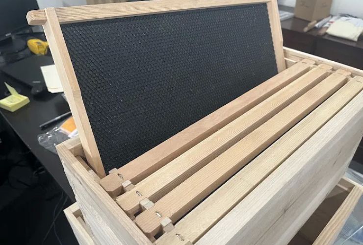 beeswax Goldenbear Inc 0