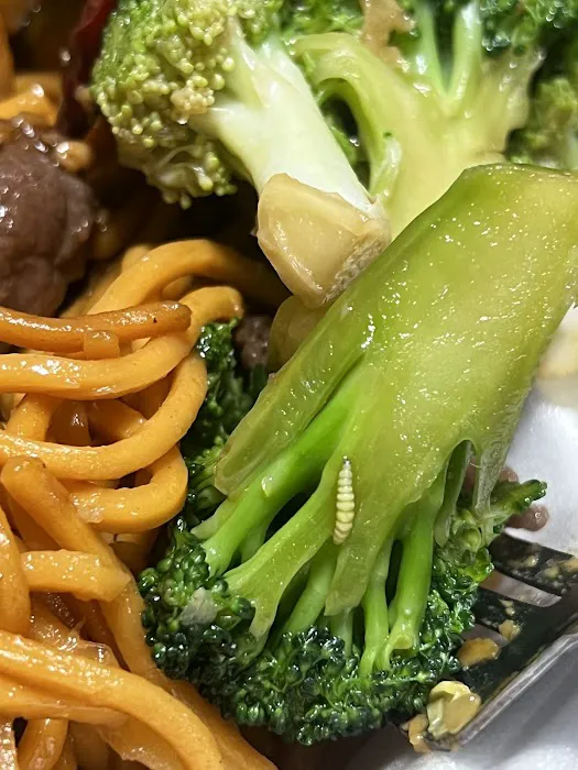 Little Beijing Chinese Fast Food 10