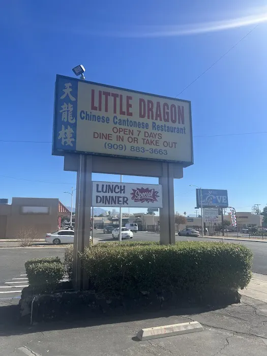 Little Dragon Chinese Cantonese Restaurant 9