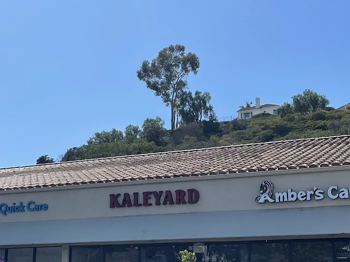Kaleyard 2