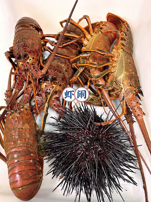 LOBSTER NOW 虾闹 7